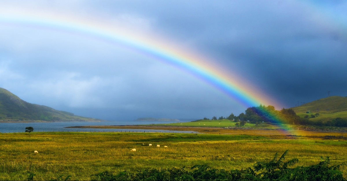 Rainbow over a field